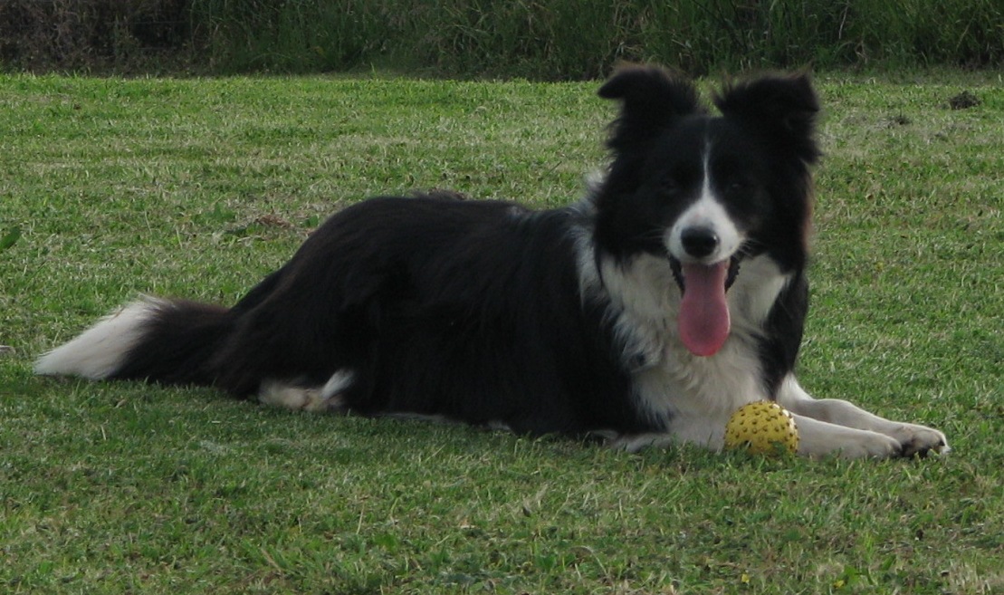 Maggs with her ball